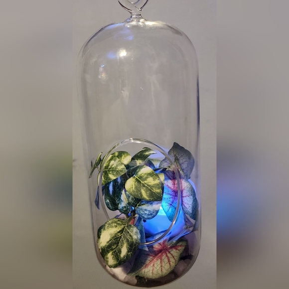 Light up hanging plant under glass - Picture 3 of 7